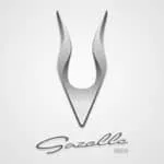 logo interview Gazelle Tech